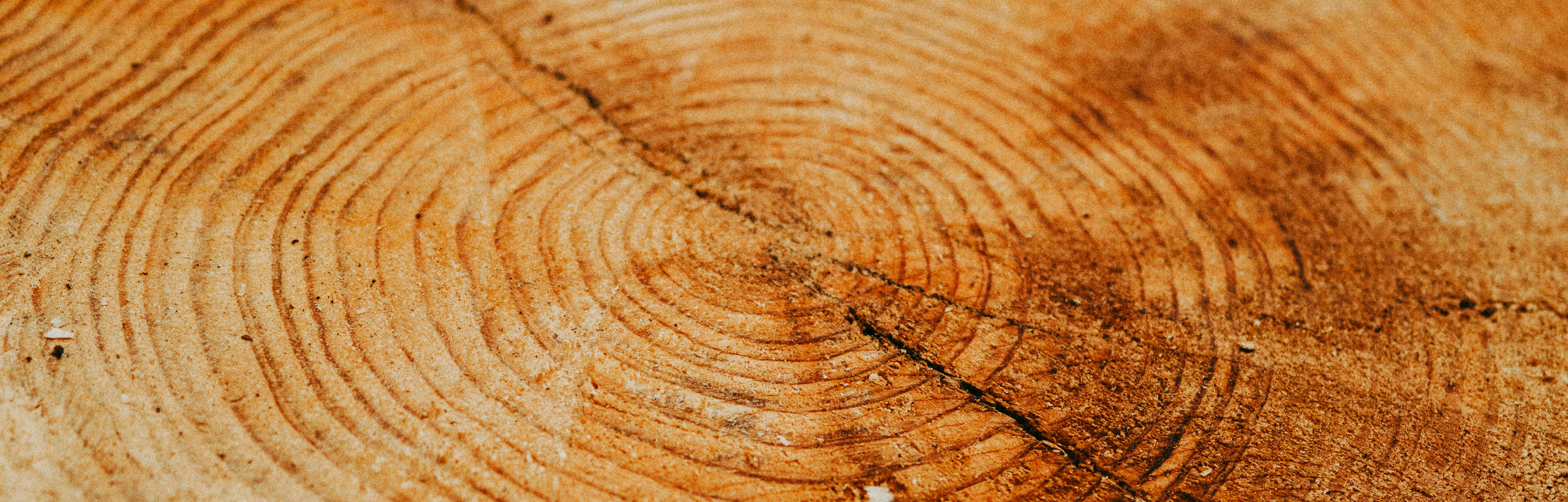 Image slider bois clair chêne Gaétan Lamarque Artisan menuisier agenceur en Dordogne-Expertise et savoir-faire sur mesure